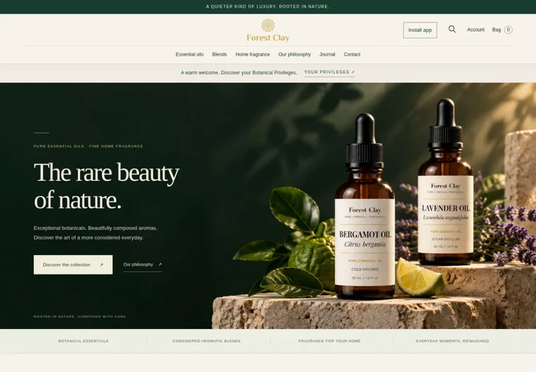 Forest Clay website homepage screenshot